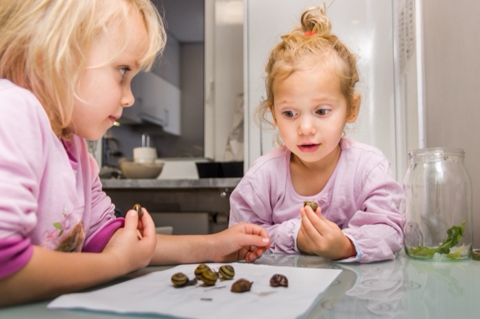 Zdjęcie 22 z galerii 