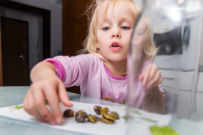 Zdjęcie 23 z galerii 