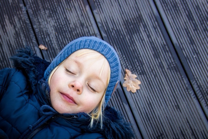 Zdjęcie 24 z galerii 