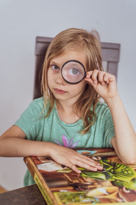 Zdjęcie 42 z galerii 