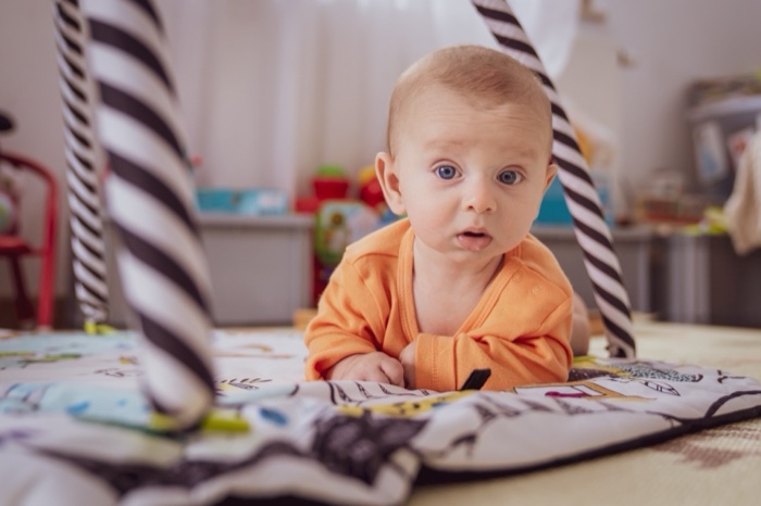 Zdjęcie 43 z galerii 