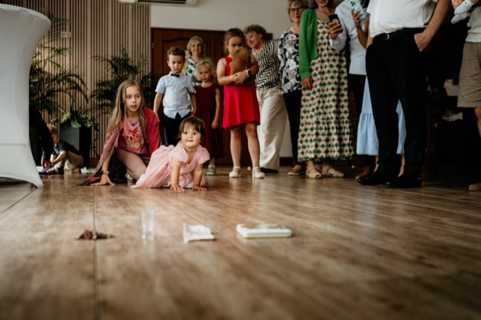 Zdjęcie 99 z galerii 